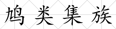 鳩類集族
