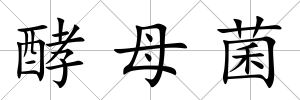 酵母菌