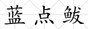 藍點鲅
