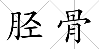 脛骨