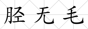 脛無毛