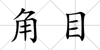 角目