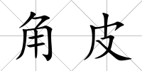 角皮