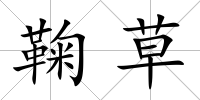 鞠草