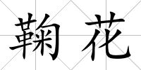 鞠花