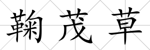 鞠茂草