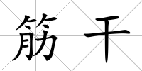 筋干