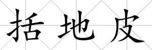 括地皮