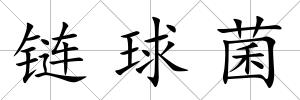 鏈球菌