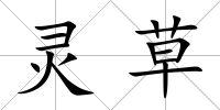 靈草