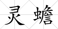 靈蟾