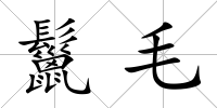 鬣毛