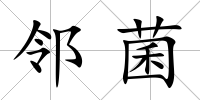 鄰菌