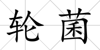 輪菌