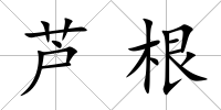 蘆根