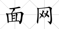 面網
