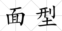 面型