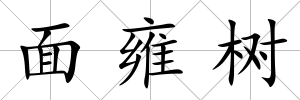 面雍樹