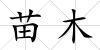 苗木
