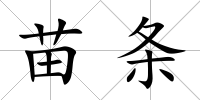 苗條
