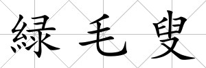 緑毛叟