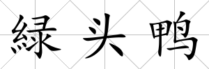 緑頭鴨
