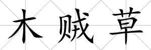 木賊草