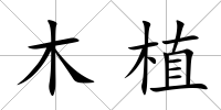 木植