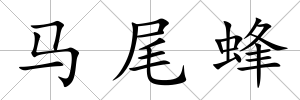 馬尾蜂
