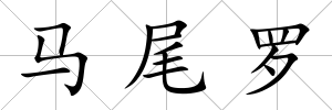 馬尾羅