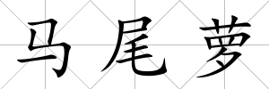 馬尾蘿