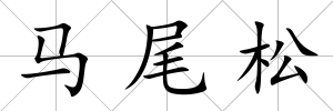 馬尾松