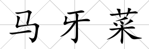 馬牙菜
