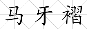 馬牙褶