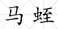 馬蛭