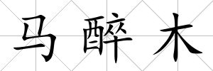 馬醉木