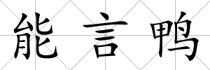 能言鴨