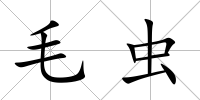 毛蟲