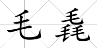 毛毳