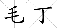 毛丁