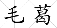 毛葛