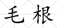 毛根