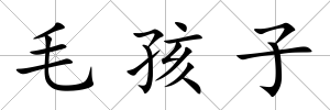 毛孩子
