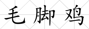 毛腳雞