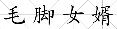 毛腳女婿