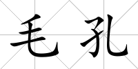 毛孔