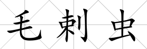 毛剌蟲