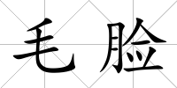毛臉