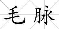 毛脈