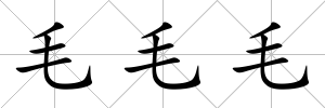 毛毛毛